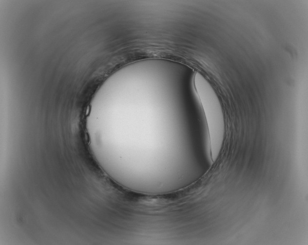 X0000115050221200911091432