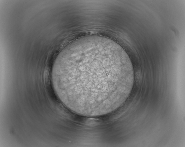 X0000115050222200911091432