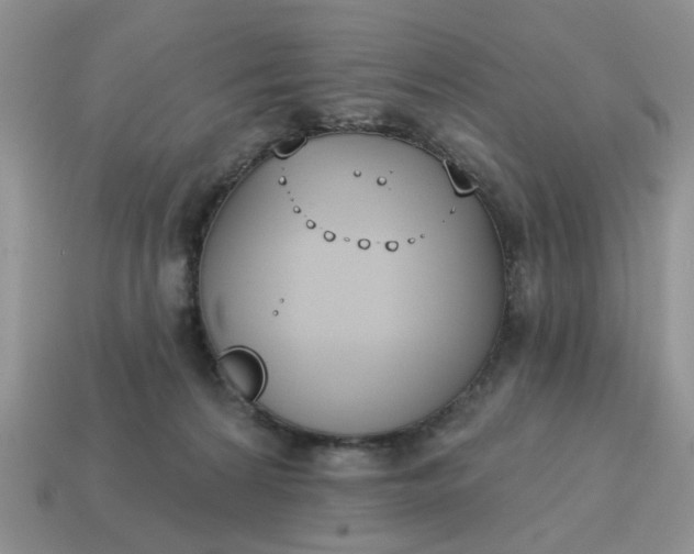 X0000115050224200911091432