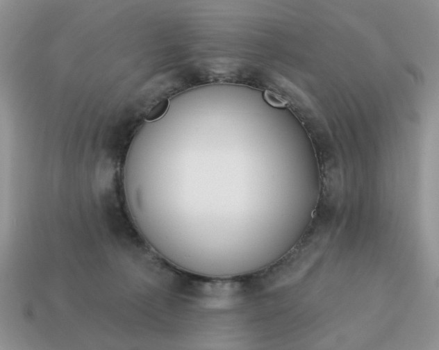 X0000115050225200911091432