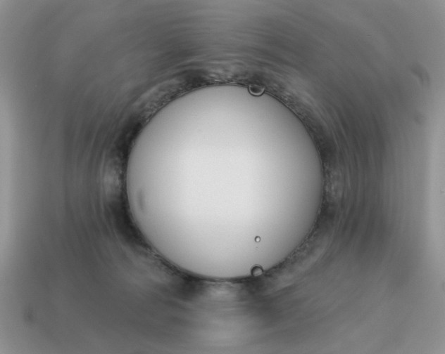 X0000115050226200911091432