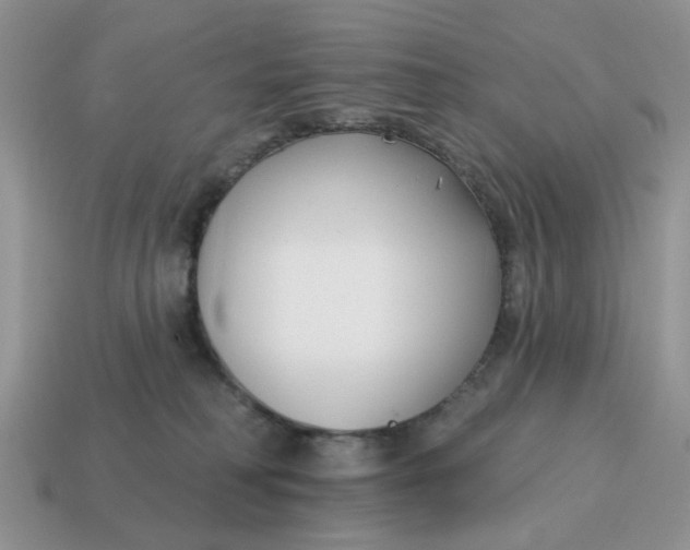 X0000115050230200911091431