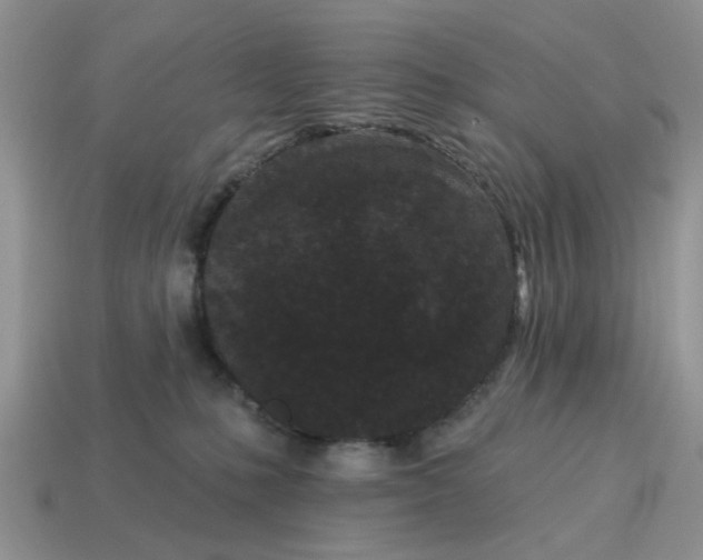 X0000115050231200911091431