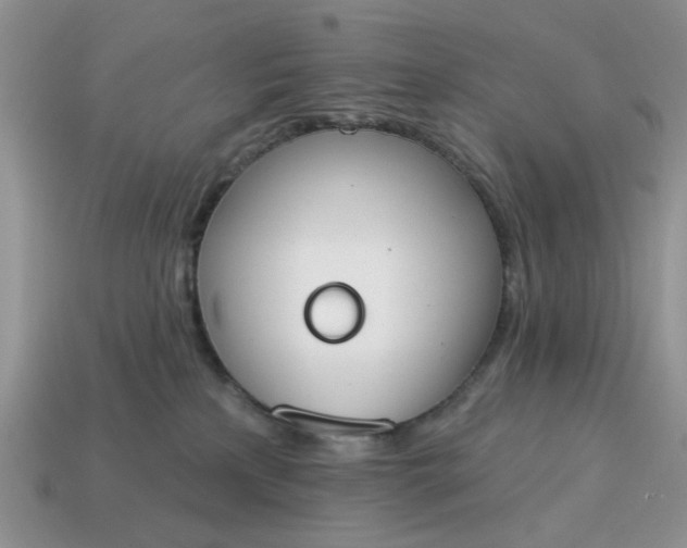 X0000115050233200911091431