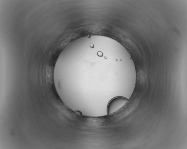 X0000115050234200911091431
