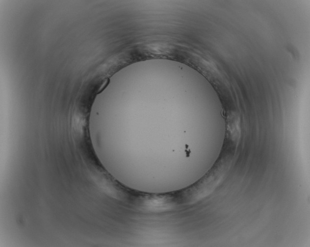X0000115050235200911091431