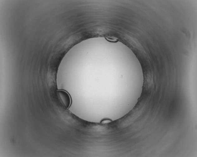 X0000115050236200911091431