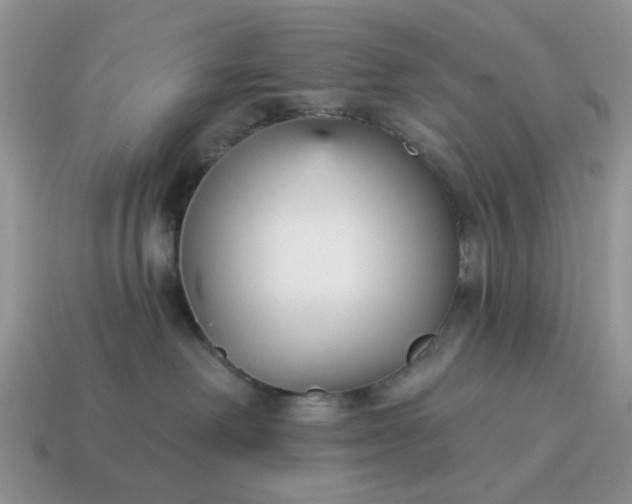 X0000115050238200911091431