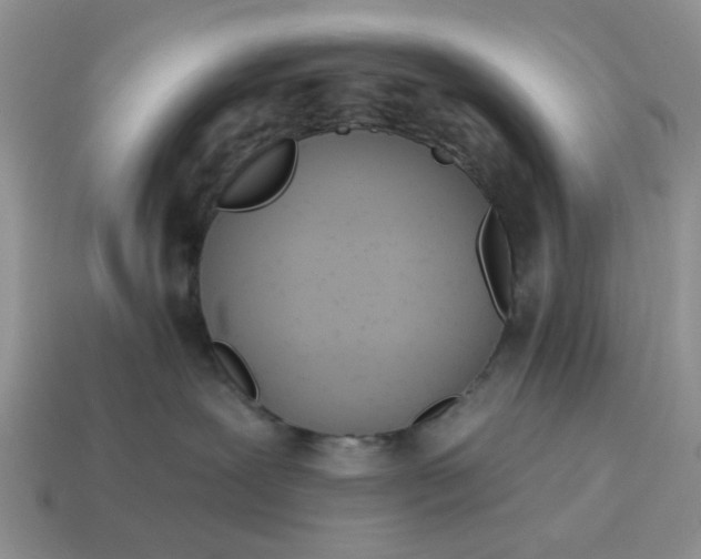 X0000115050239200911091431