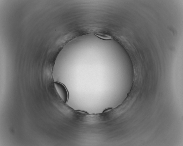 X0000115050240200911091431