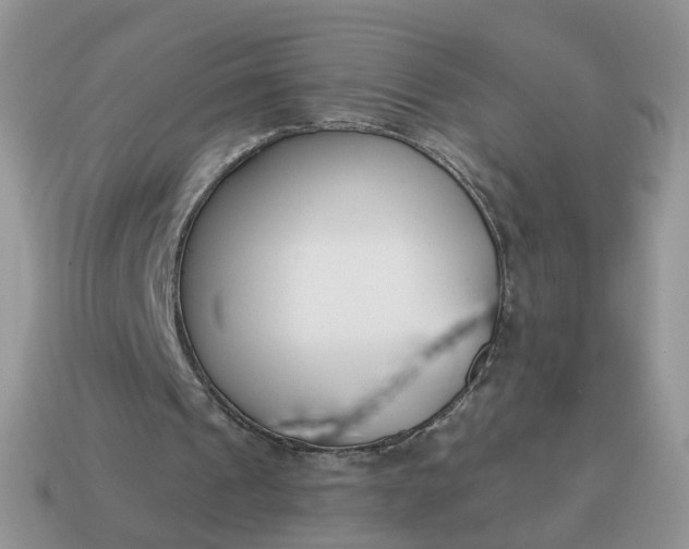 X0000115050241200911091431