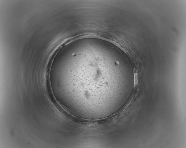 X0000115050243200911091431