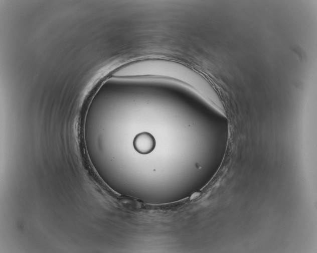 X0000115050244200911091431