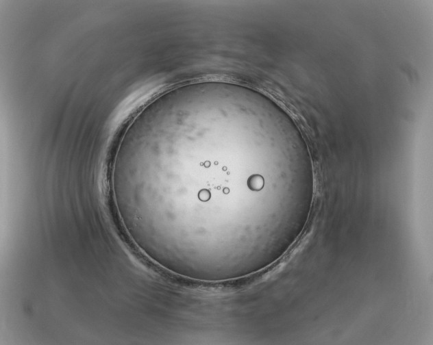 X0000115050245200911091431
