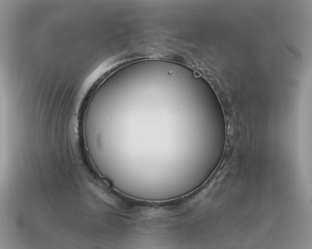 X0000115050246200911091431