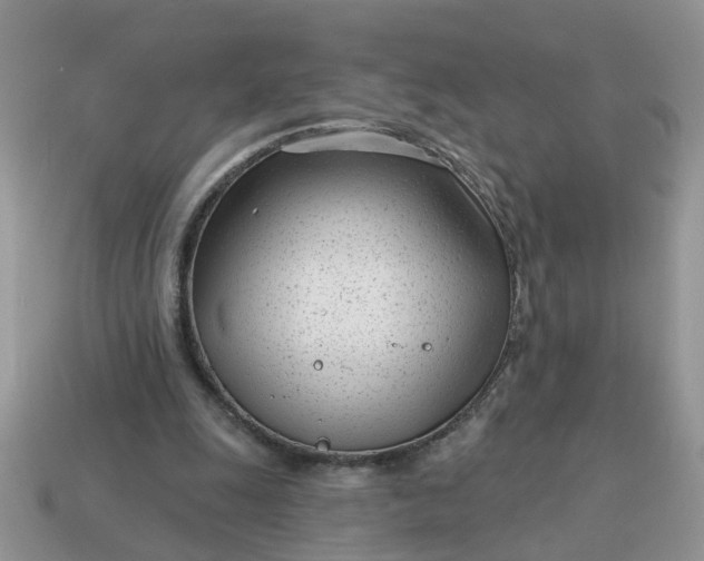 X0000115050247200911091431