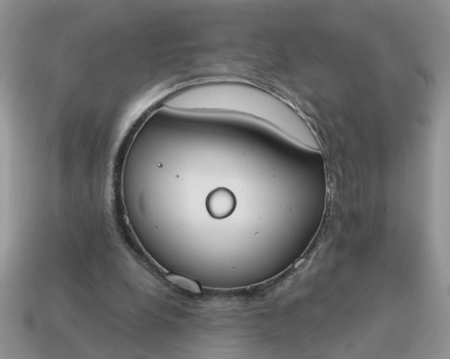 X0000115050248200911091431