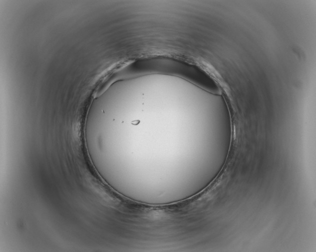 X0000115050249200911091431
