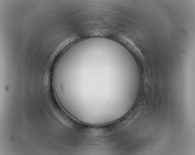 X0000115050250200911091431