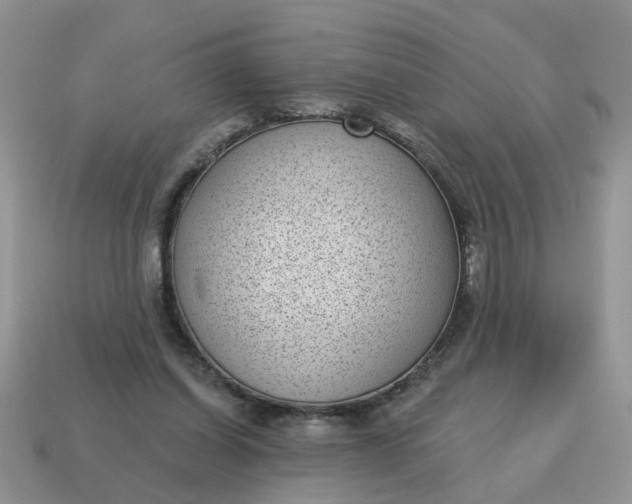 X0000115050254200911091431