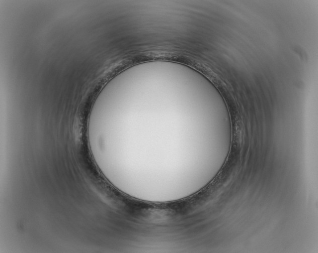 X0000115050255200911091431