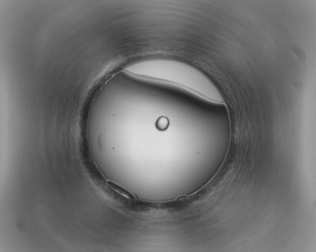 X0000115050256200911091431