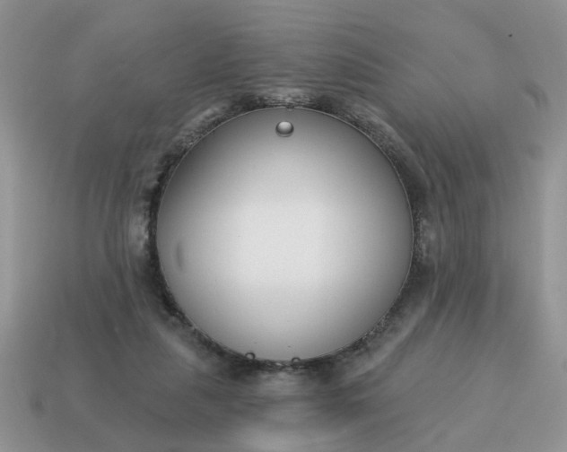 X0000115050259200911091431