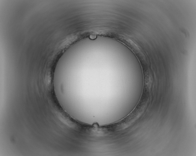 X0000115050261200911091431