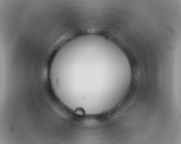 X0000115050262200911091431