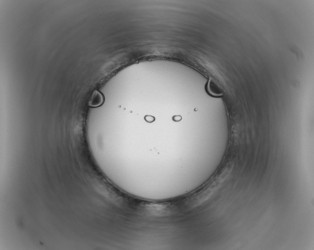 X0000115050265200911091431