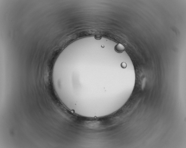 X0000115050266200911091431