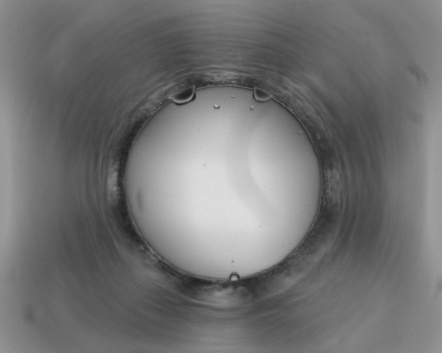 X0000115050267200911091431