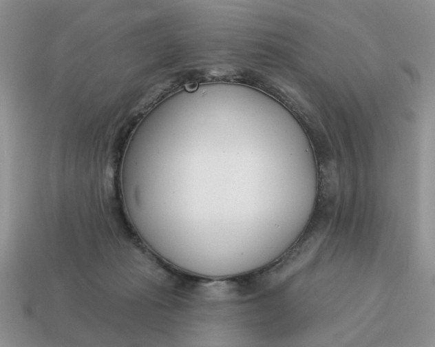 X0000115050269200911091431
