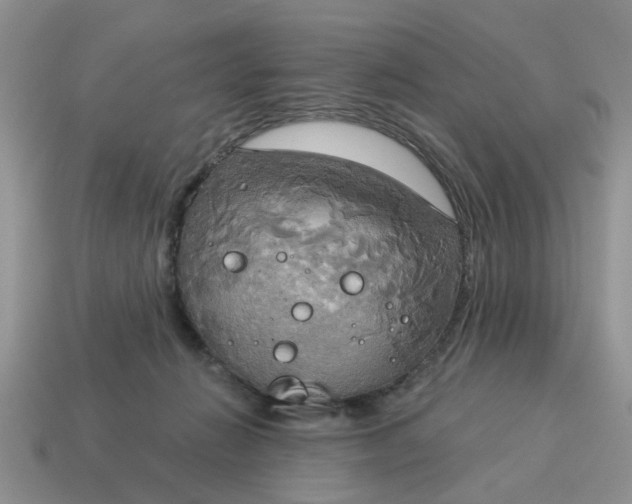 X0000115050270200911091431