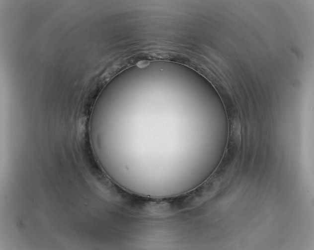 X0000115050271200911091431