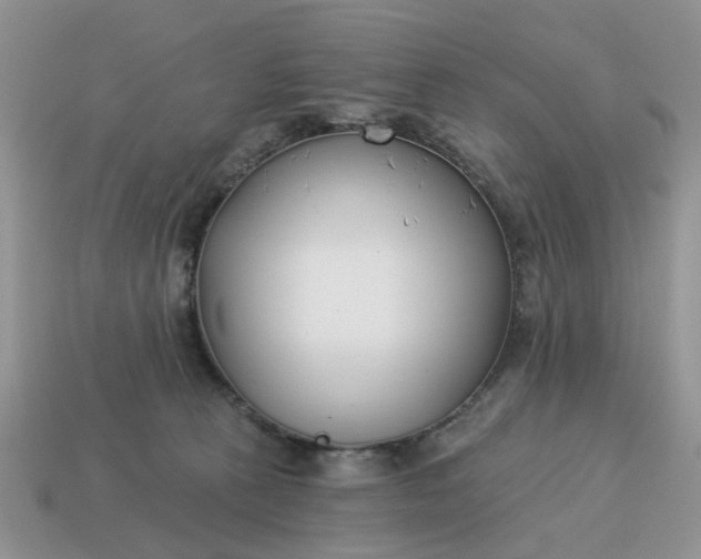 X0000115050273200911091431