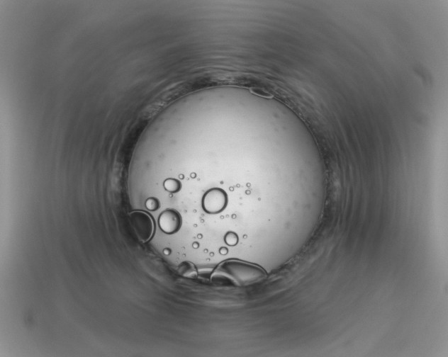 X0000115050275200911091431