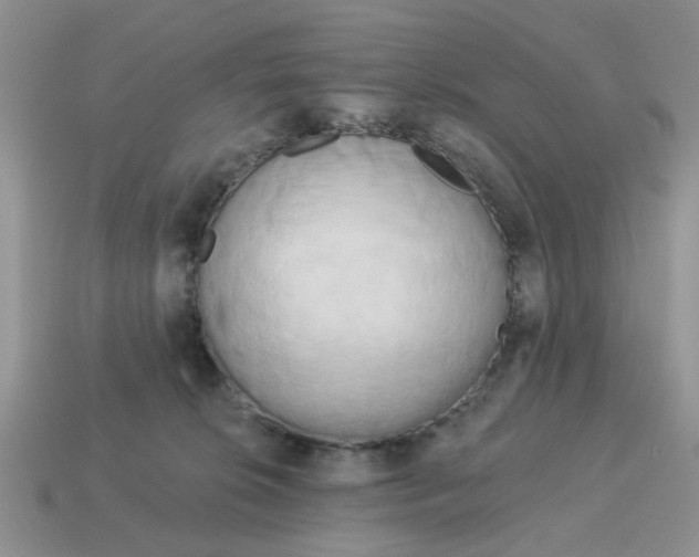 X0000115050276200911091431
