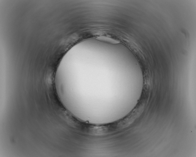 X0000115050277200911091431