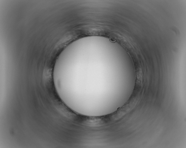 X0000115050278200911091431