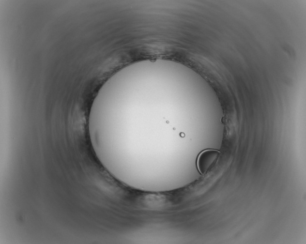 X0000115050279200911091431