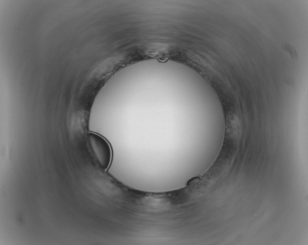 X0000115050280200911091431