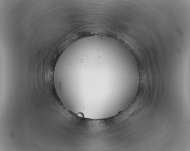X0000115050281200911091431