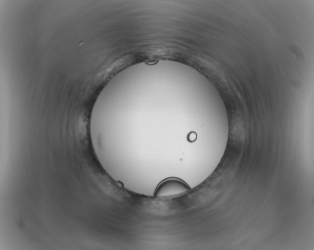 X0000115050282200911091431