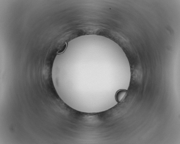 X0000115050283200911091431