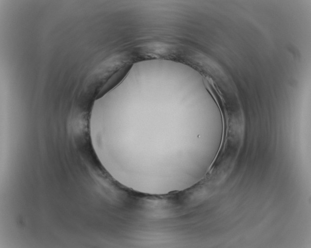 X0000115050284200911091431