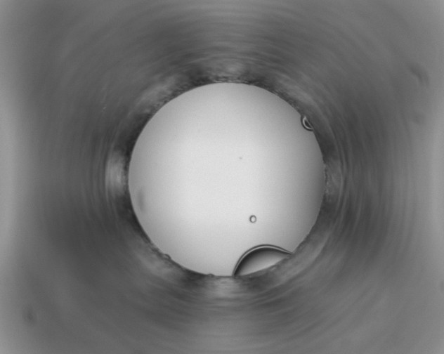 X0000115050287200911091431