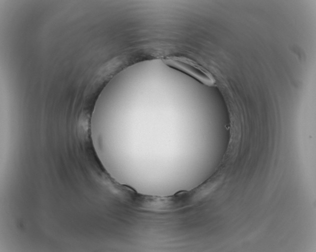 X0000115050288200911091431