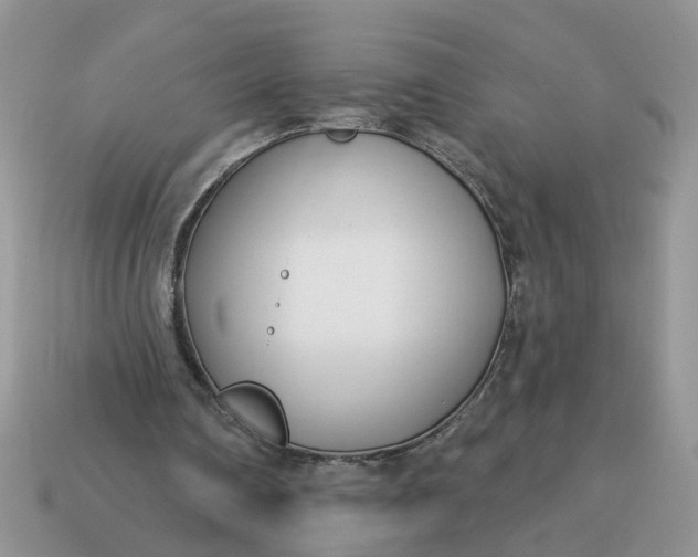 X0000115050290200911091431