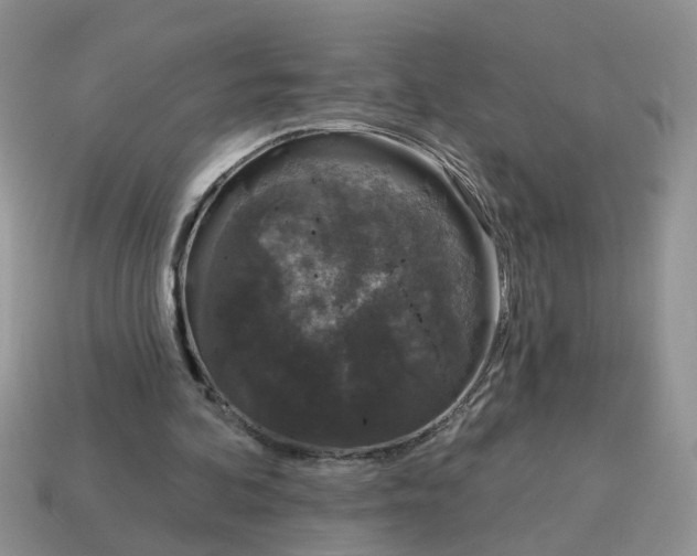 X0000115050292200911091431